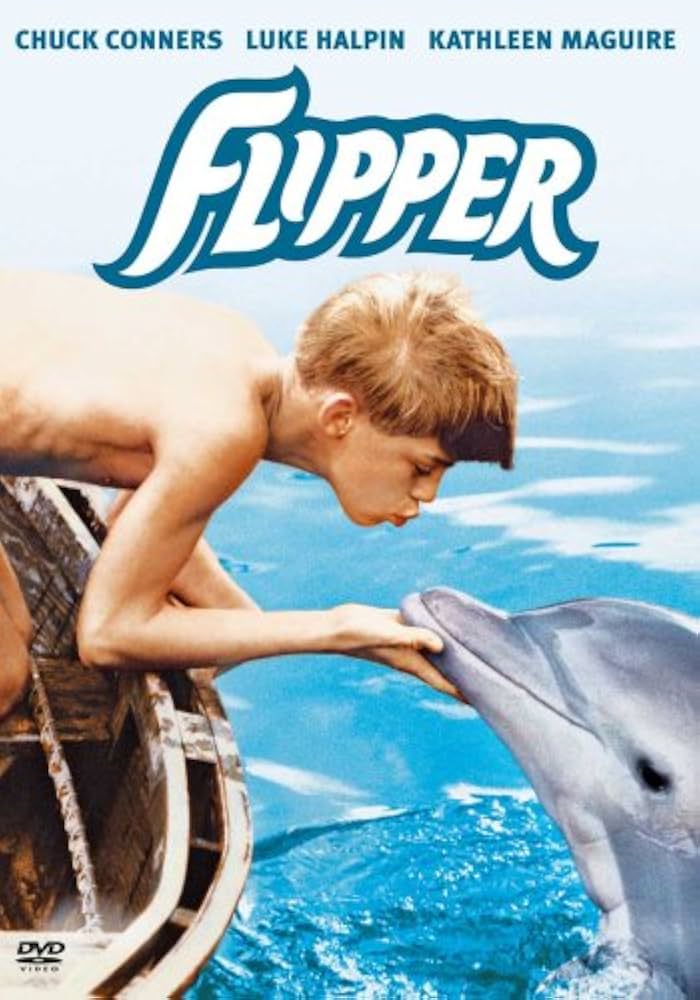 フリッパー [DVD] tf8su2k Flipper [DVD] - Best Buy